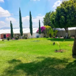 Negocio Salón rancho seco jardín