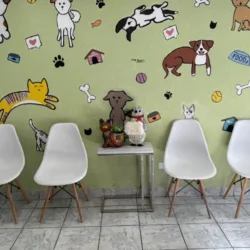 Animalia Clínica Veterinaria Mexicali