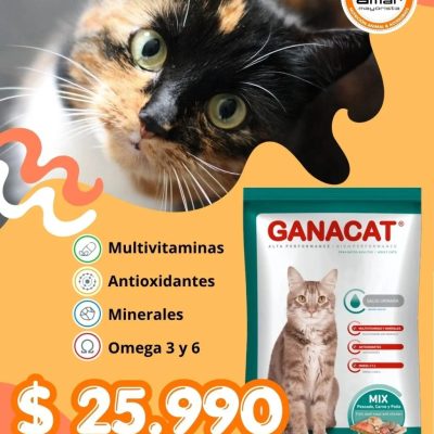 GANACAT