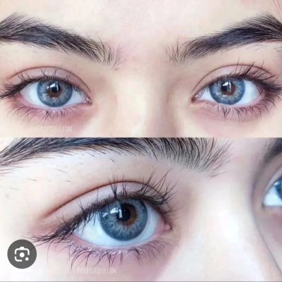 Dna Taylor blue gray