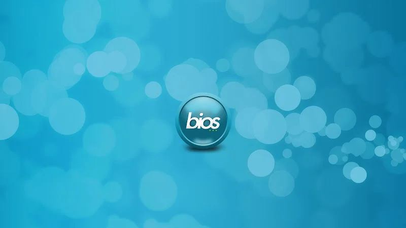 Bios Estudio Creativo