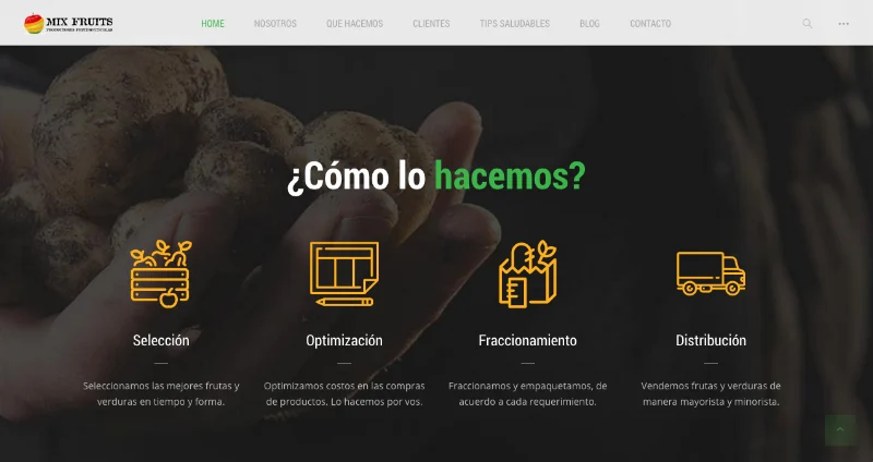 LUPA Marketing Solutions