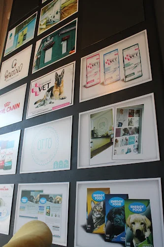bunker estudio de diseño