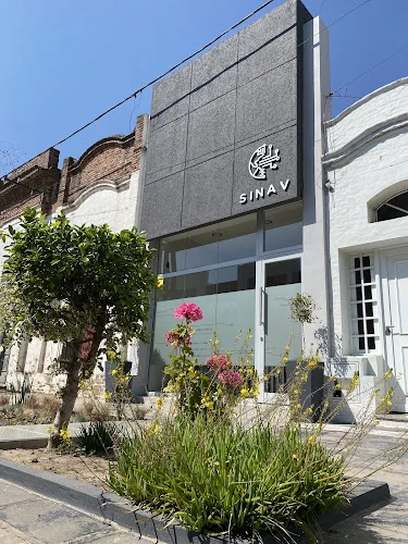 SINAV