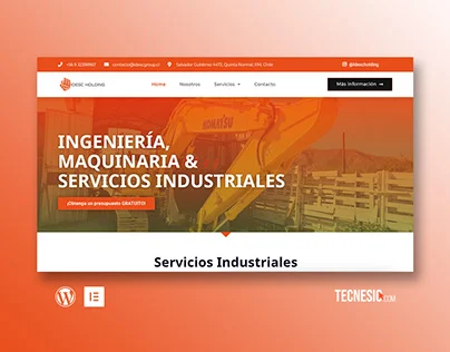 Tecnesio | Diseño web Profesional