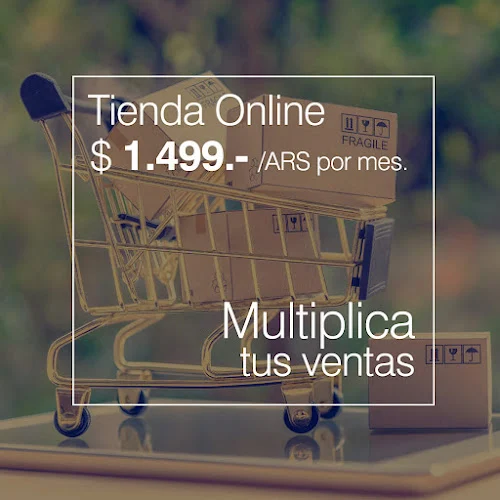 Diseño Web Profesional