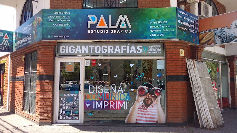 PALM :: Estudio Gráfico