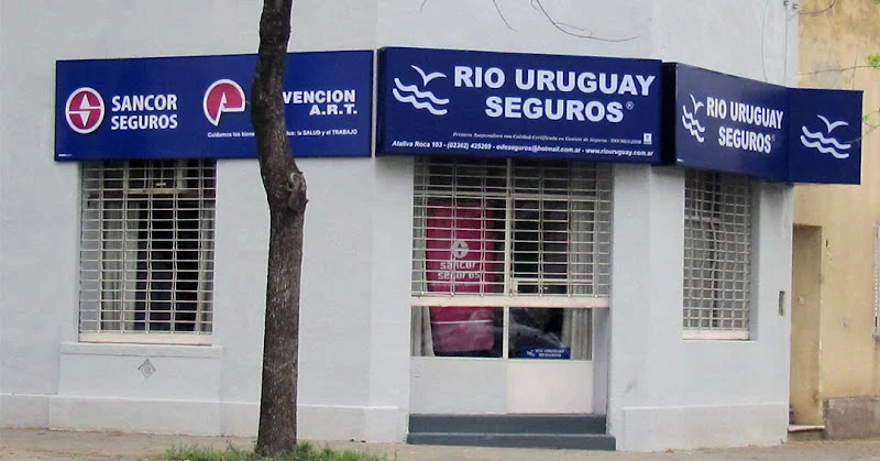 CHICOVINILO