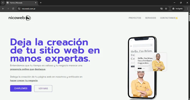 Nicoweb Diseño web profesional