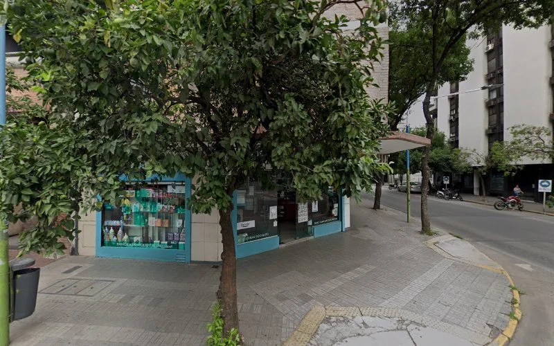 Kyubi Studio