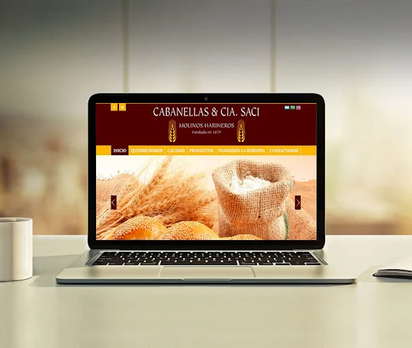 dwvisual-Diseño Web Rosario-Diseño Gráfico Rosario