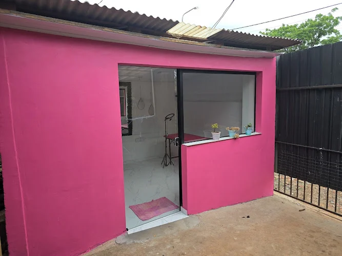 Yaguareté sistemas