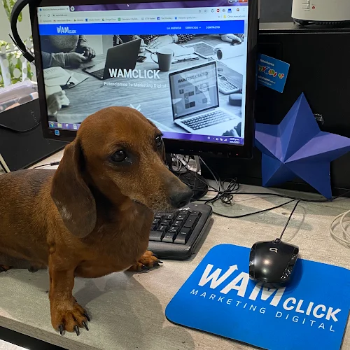 WAMclick Marketing Digital