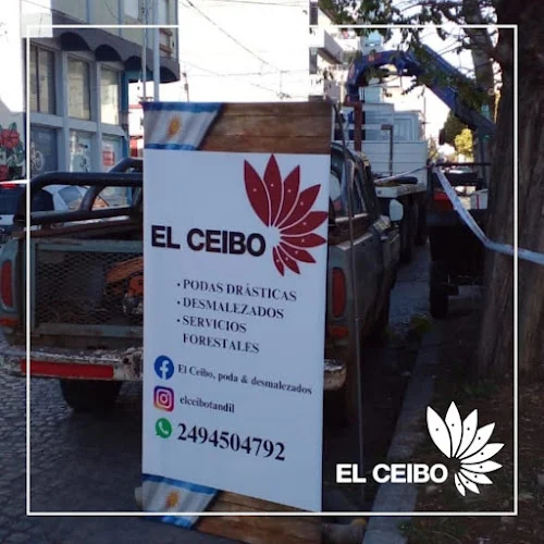 El ceibo - Podas y desmontes