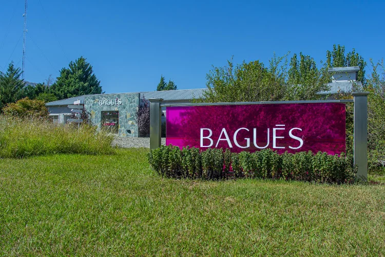 Bagués