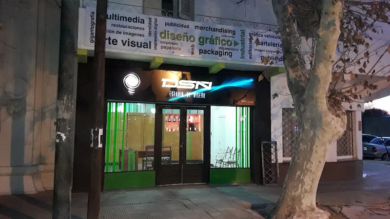 Estudio DSÑ