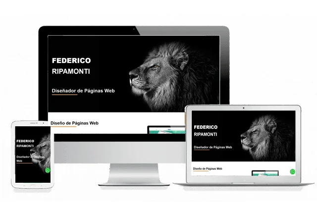 Federico Ripamonti Diseño Diseñador Web