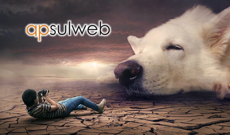 apsulweb