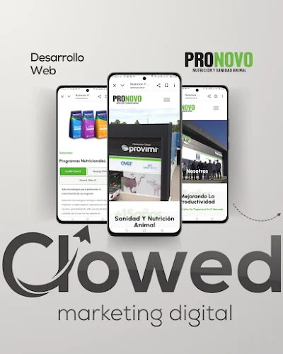 Clowed Marketing Digital