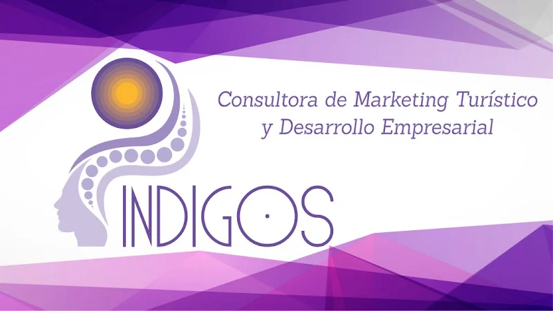 Indigos Consultora