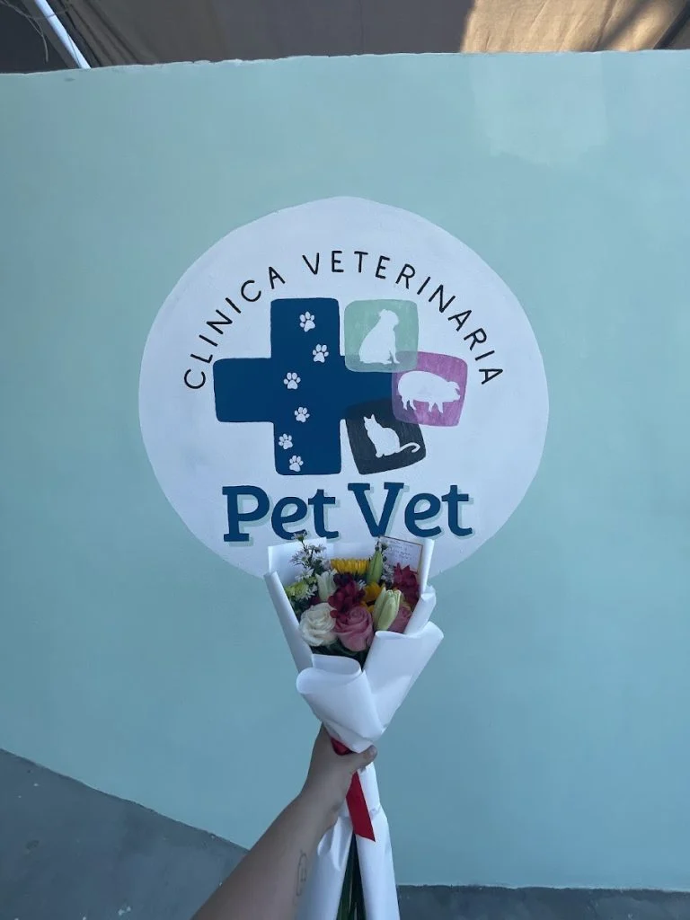 Clinica Veterinaria Petvet Sjc - Foto 1