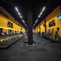 APOLO GYM