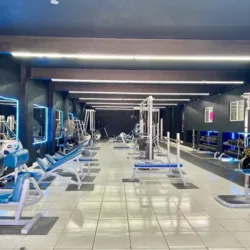 Panthers Gym