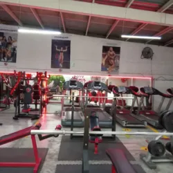 star fitness gym