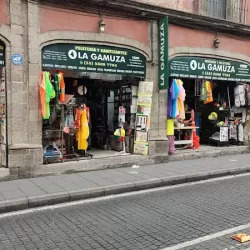 La Gamuza