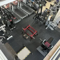 THE MONSTER GYM