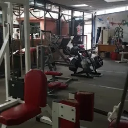Gym Area Fitness
