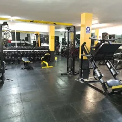 The brothers gym