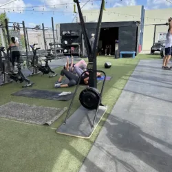 BDR training