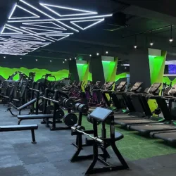 Palmas Gym Elite
