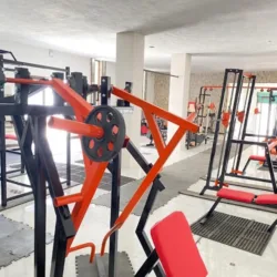 Temple Gym