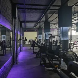 Trinity Gym