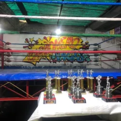 Escuela De Box Carbonero Vargas