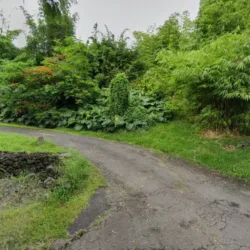 Ono Septic Tank Systems