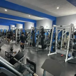 Hidalgo's Gym