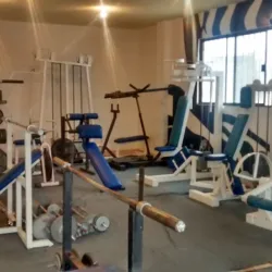 Ale Gym