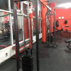 Olympus GYM