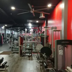 TRIBU GYM