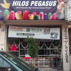 Pegasus
