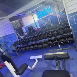 GORILLAS GYM