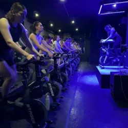 Dark Room Spinning Santa Catarina