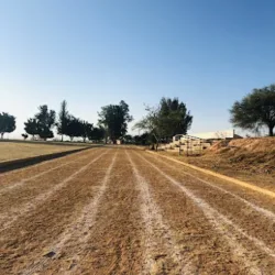 Unidad Deportiva Rancho Solano
