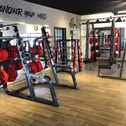 WF WELLNESS FACTORY