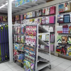 El Nuevo Japon Fiestas