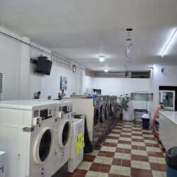 The Clean Dolphin. Lavanderia de encargo y Autoservicio