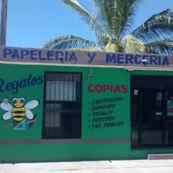 PAPELERIA Y MERCERIA LIZ